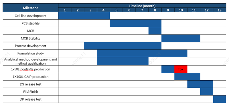Perfusion Process Development Timeline
