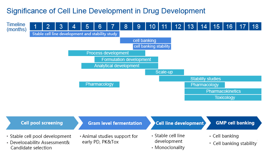 Significance of Cell Line Development in Drug Development