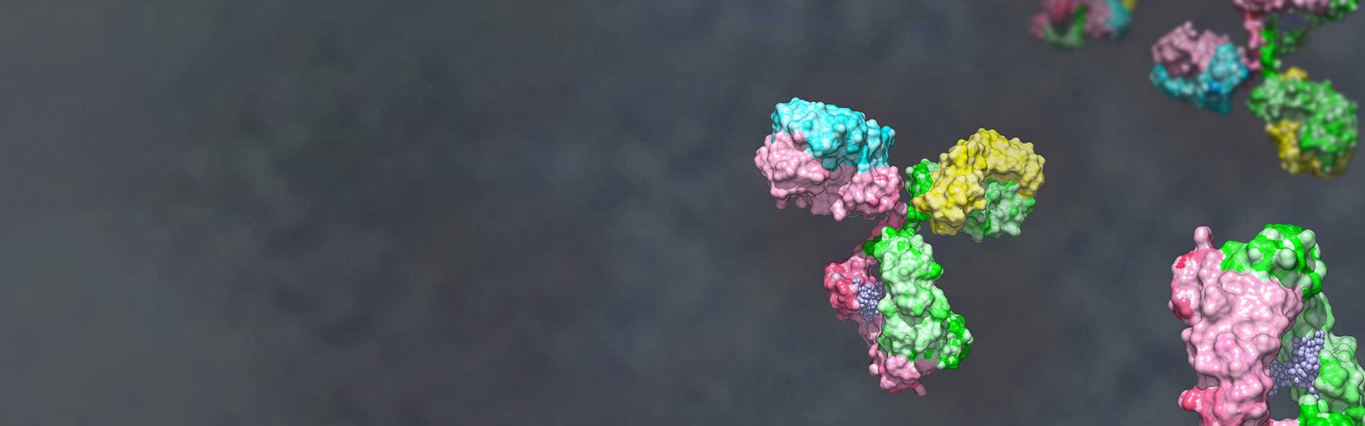Bispecific Antibody Discovery Service