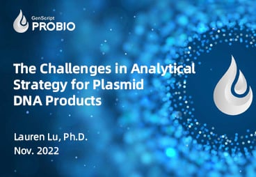 Addressing analytical control challenges for different plasmid DNA products