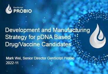 Development and manufacturing Strategy for DNA Base Vaccine-Drug Candidates