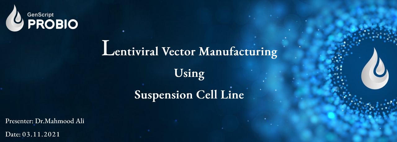 Lentiviral vector manufacturing using suspension cell line